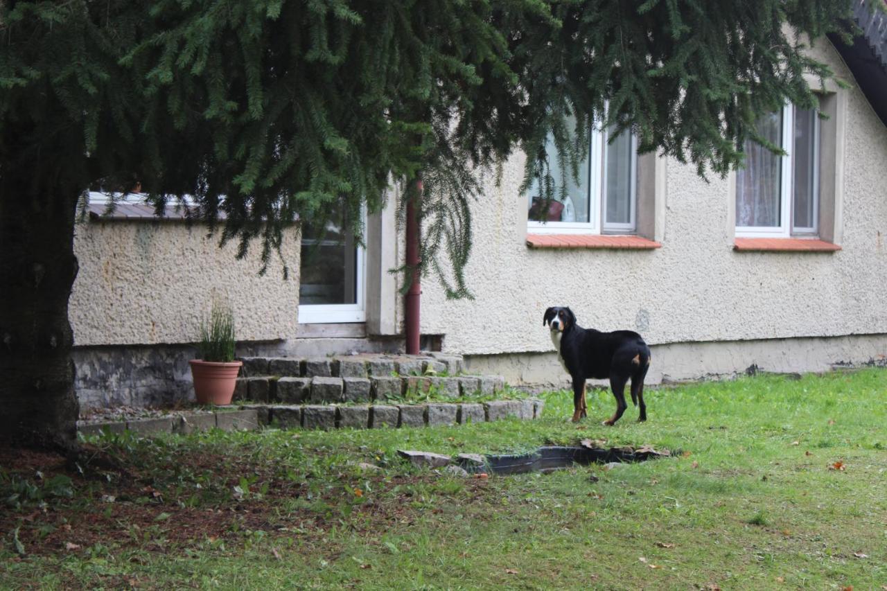 Gospodarstwo Agroturystyczne Agroletnica Swidnica  Exterior foto